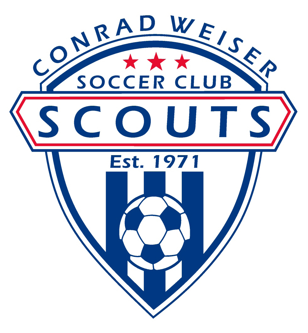 Youth Soccer Logo